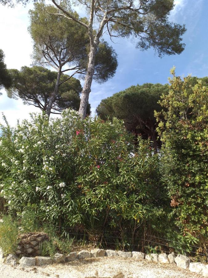Villa Mediterranea レ・ズィサンブル エクステリア 写真